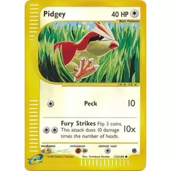 Pidgey Reverse