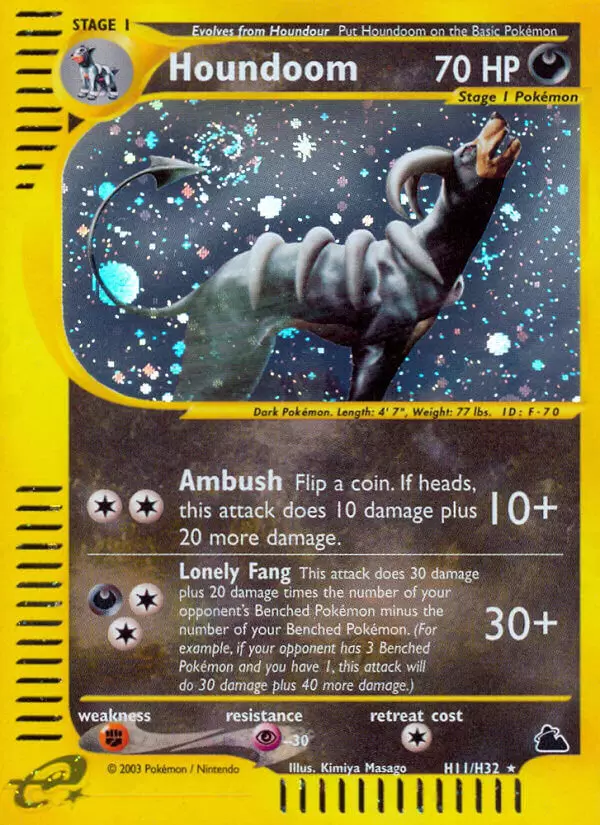 Skyridge - Houndoom Holo