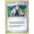 Professor Birch Reverse