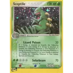 Sceptile Holo