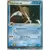 Kabutops ex