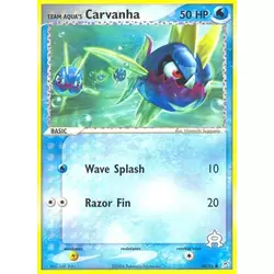 Team Aqua's Carvanha