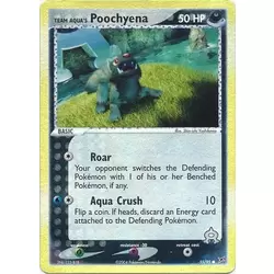 Team Aqua's Poochyena Reverse