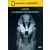 Autres Films - National Geographic - Egypte : les secrets des pharaons