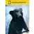 Autres Films - National Geographic - les bébés animaux
