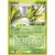 EX FireRed & LeafGreen - Scyther