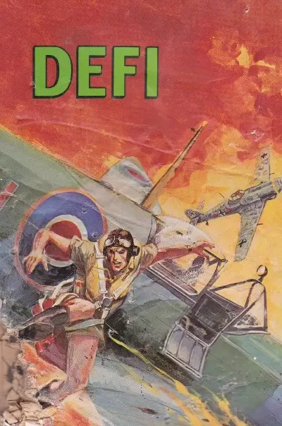 Défi - Les tigres volants