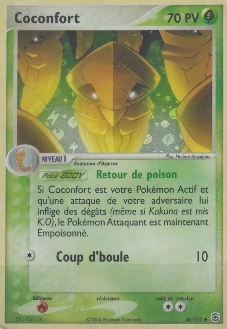 EX Rouge Feu & Vert Feuille - Coconfort holographique