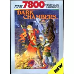 Dark Chambers
