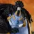Figuarts Zero One Piece - Jinbe - Knight of Sea