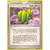 EX Emerald - Lum Berry