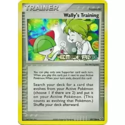 Wally's Training Holo Logo