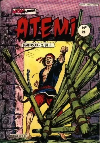 Atemi - Le trésor maudit