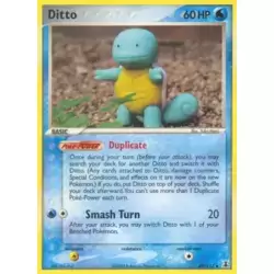 Ditto (Squirtle)