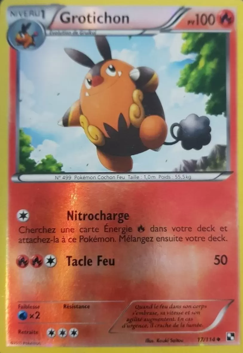 Pokémon Série Noir et Blanc - Grotichon Reverse