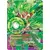 Dragon Ball Super Carte Promo FR - Broly // Broly, la Menace réveillée