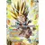 Destroyer Kings [BT6] - Son Gohan // Son Gohan SS2, Puissance inexploitée
