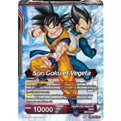 Son Goku et Vegeta // Gogeta SSB, Fusion parfaite