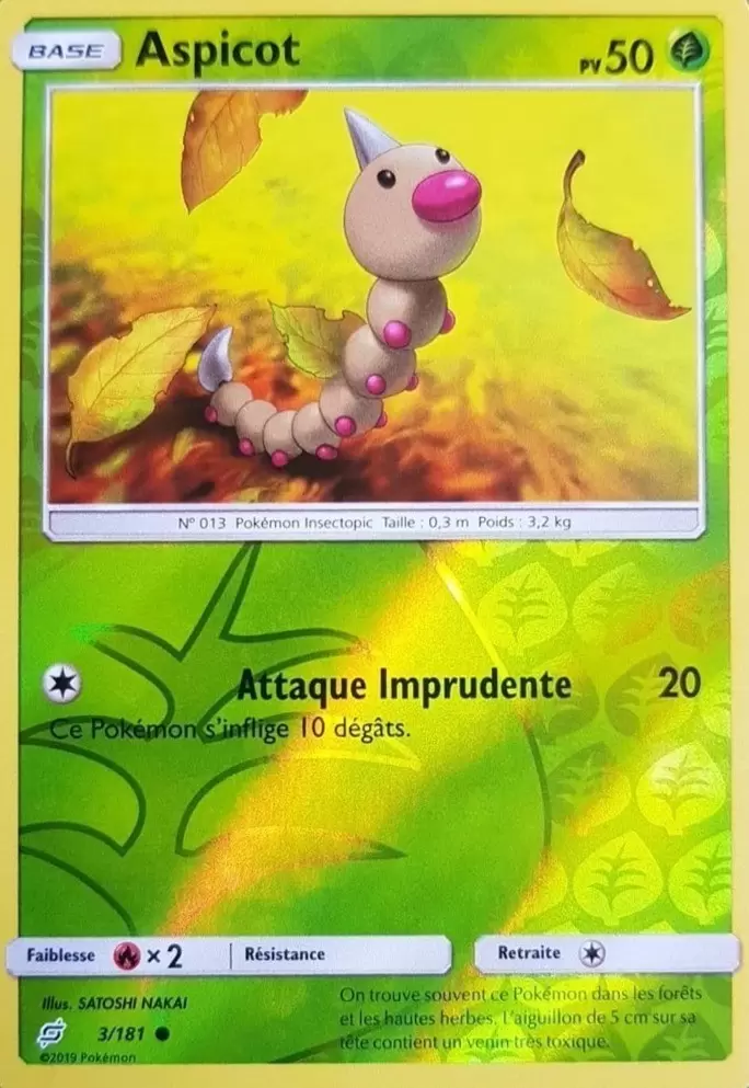 Duo de choc - Aspicot Reverse
