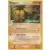 Exeggutor Prerelease