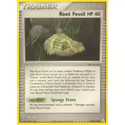 Root Fossil