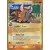 EX Dragon Frontiers - Pinsir Holo