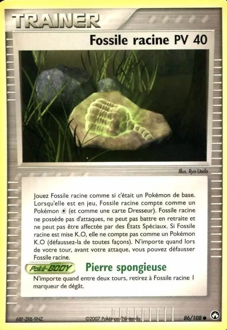 Gardiens du Pouvoir - Fossile racine
