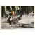 La Guerre des Etoiles - L\'Empire Contre-Attaque - PEINTURE DE RALPH McQUARRIE: MARAIS DE DAGOBAH