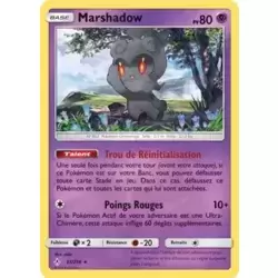 Marshadow holographique