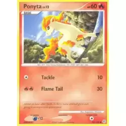 Ponyta