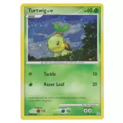 Turtwig Holo