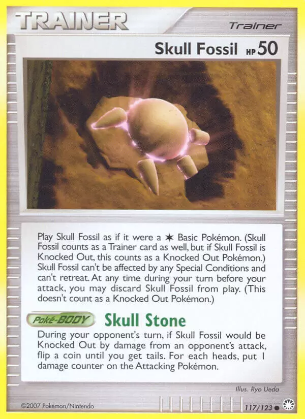 Mysterious Treasures - Skull Fossil