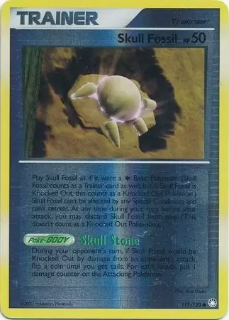 Mysterious Treasures - Skull Fossil Reverse