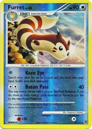 Secret Wonders - Furret Reverse