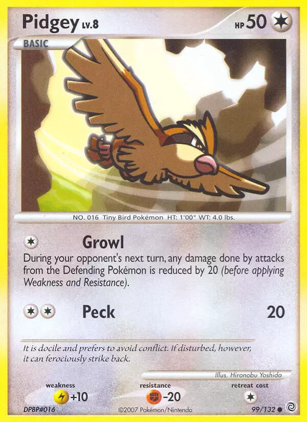 Secret Wonders - Pidgey