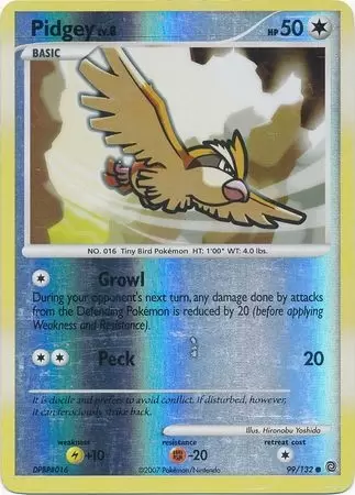 Secret Wonders - Pidgey Reverse