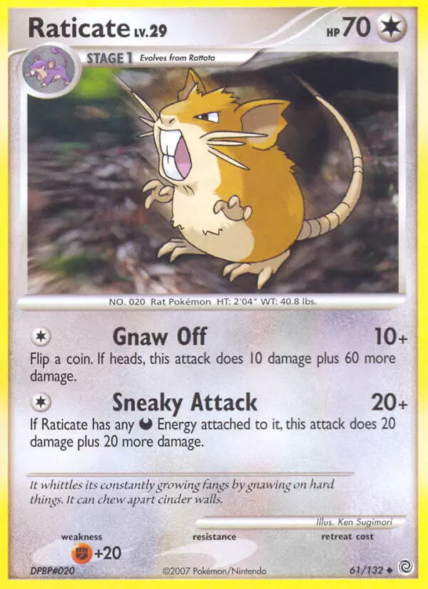 Secret Wonders - Raticate