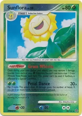 Secret Wonders - Sunflora Reverse