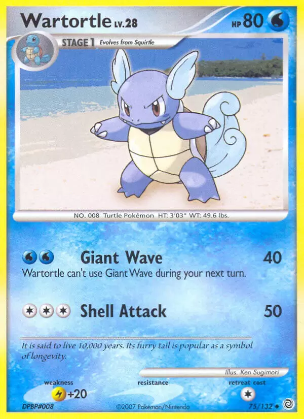 Secret Wonders - Wartortle