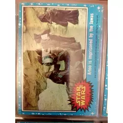 Trading Card N° 11