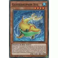 Glissedauphin Xyz