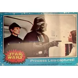 Trading Card N° 10