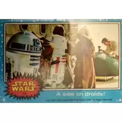 Trading Card N° 13