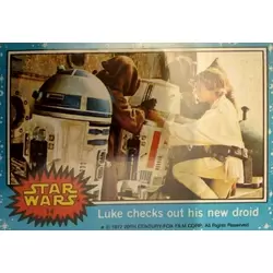 Trading Card N° 14