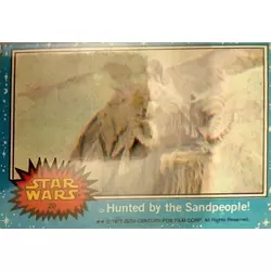 Trading Card N° 20