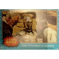 Trading Card N° 23