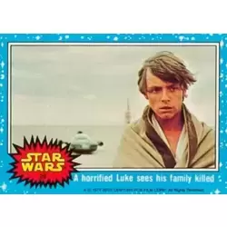 Trading Card N° 26