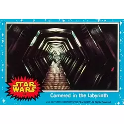 Trading Card N° 37