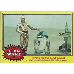 Card N° 143