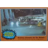 Card N° 265